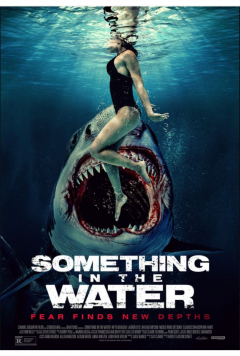 SOMETHING IN THE WATER cover